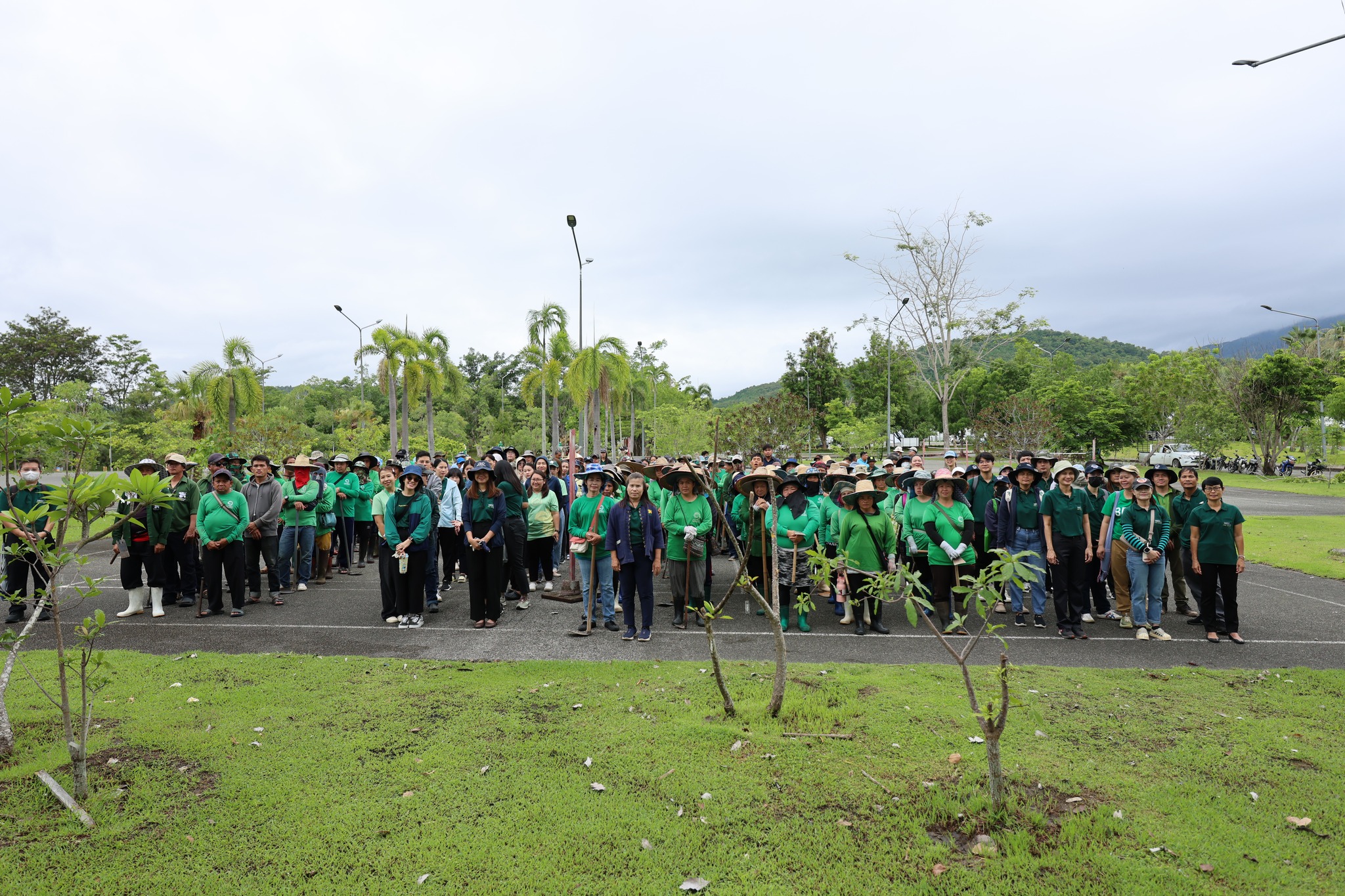 ปลูกต้นไม้วันนี้เพื่อโลกที่ยั่งยืนในวันข้างหน้า