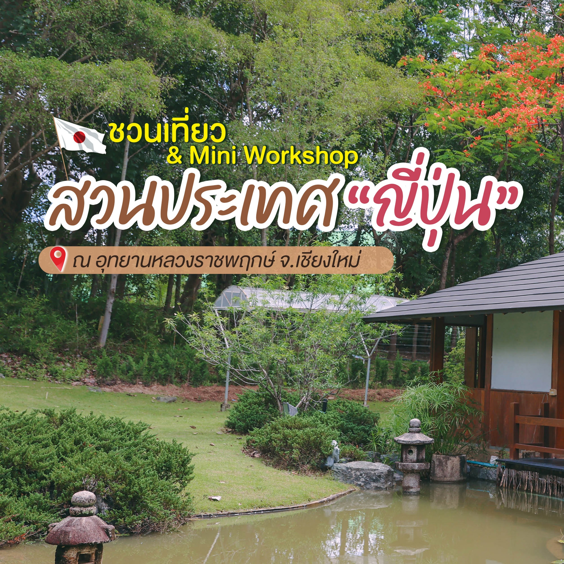 ชวนมาเที่ยว"สวนญี่ปุ่น"กลางเมืองเชียงใหม่ณอุทยานหลวงราชพฤกษ์