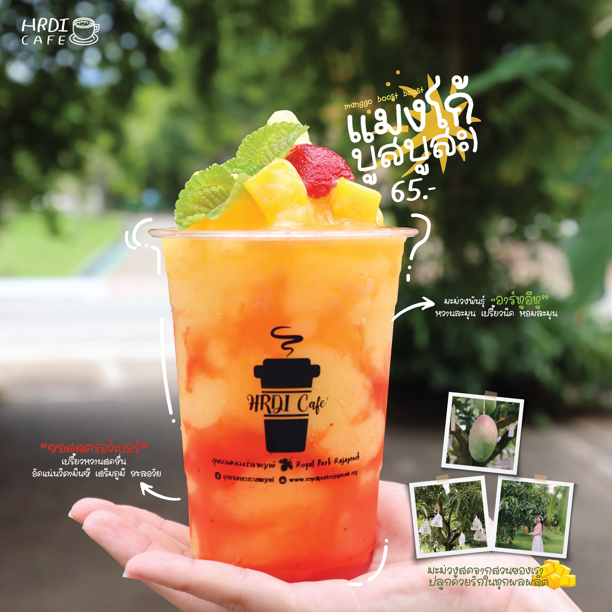 แมงโก้บูสบูสดื่มแล้วตื่นสดชื่นทันที