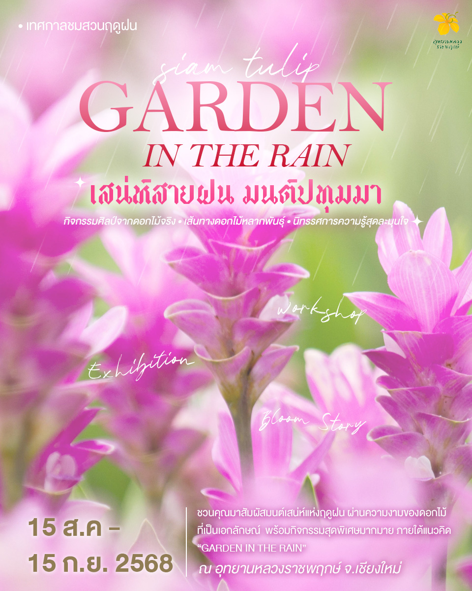 528730942_1218017047026470_6475986971219924594_n