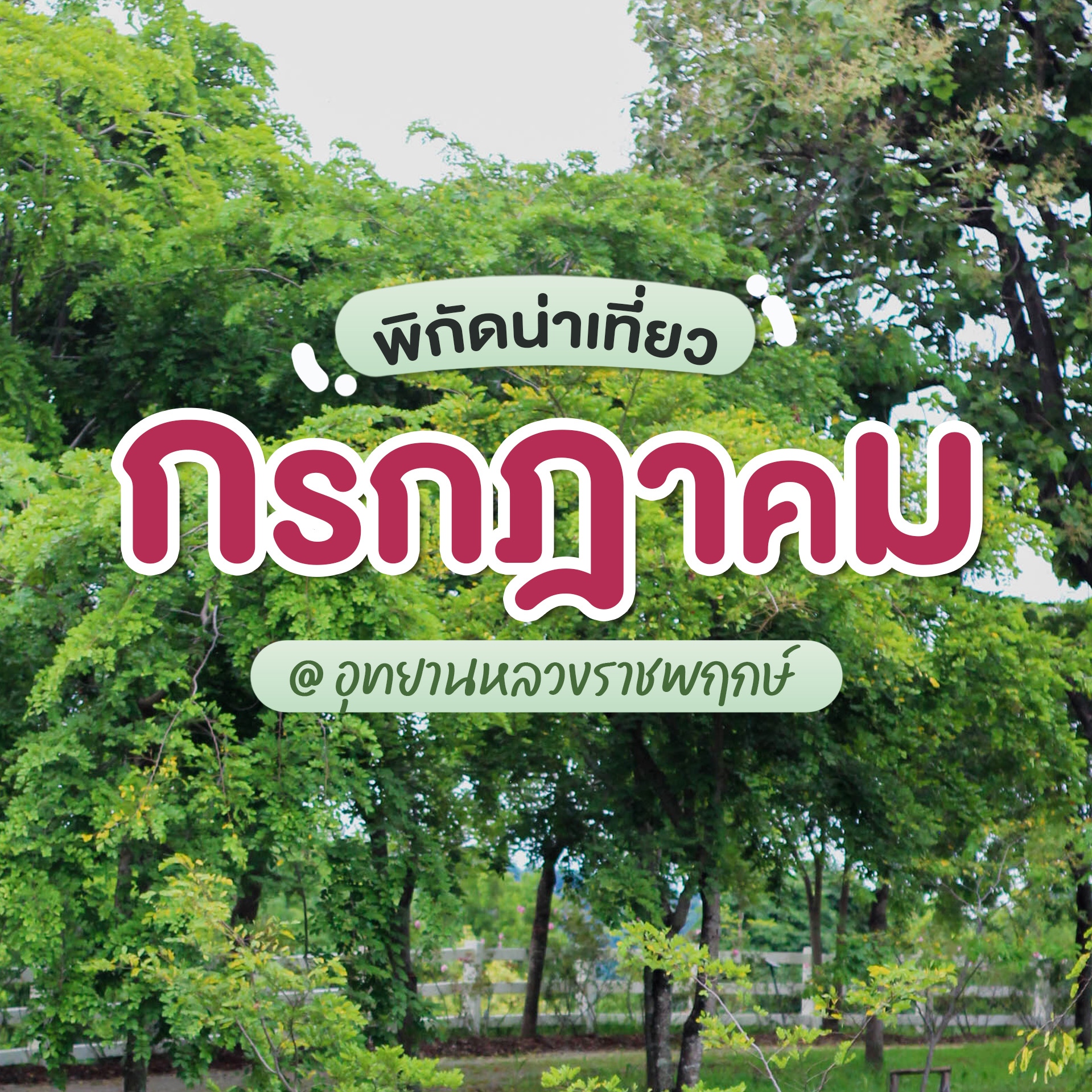 ✿พาเที่ยวเชียงใหม่กรีนซีซั่นกรกฎาคมอุทยานหลวงราชพฤกษ์จ.เชียงใหม่☀