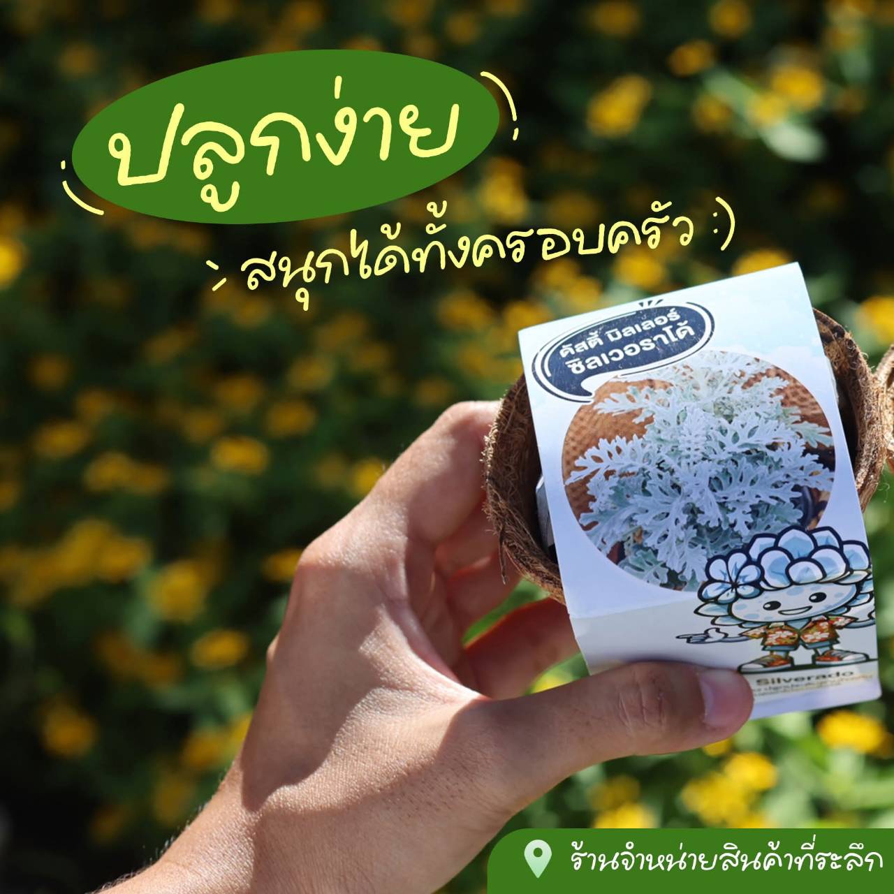 ☺ชวนช้อป!“ชุดพันธุ์ไม้พร้อมปลูก”✪กิจกรรมสนุกสำหรับทุกคนในครอบครัว♣︎❣︎