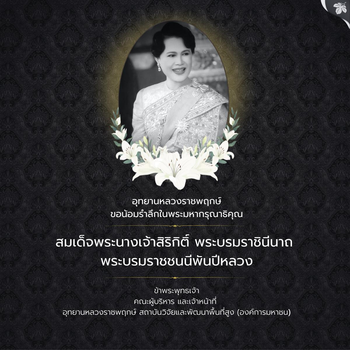 571203590_1290249703136537_2409206815427694929_n