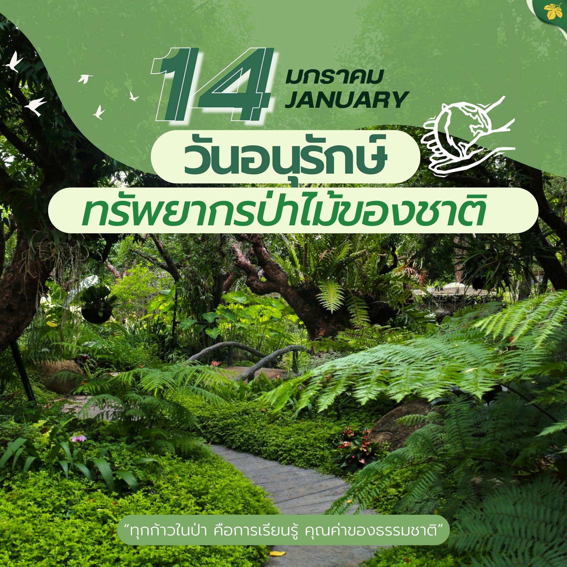 615327486_1356195256541981_4158570227741299997_n