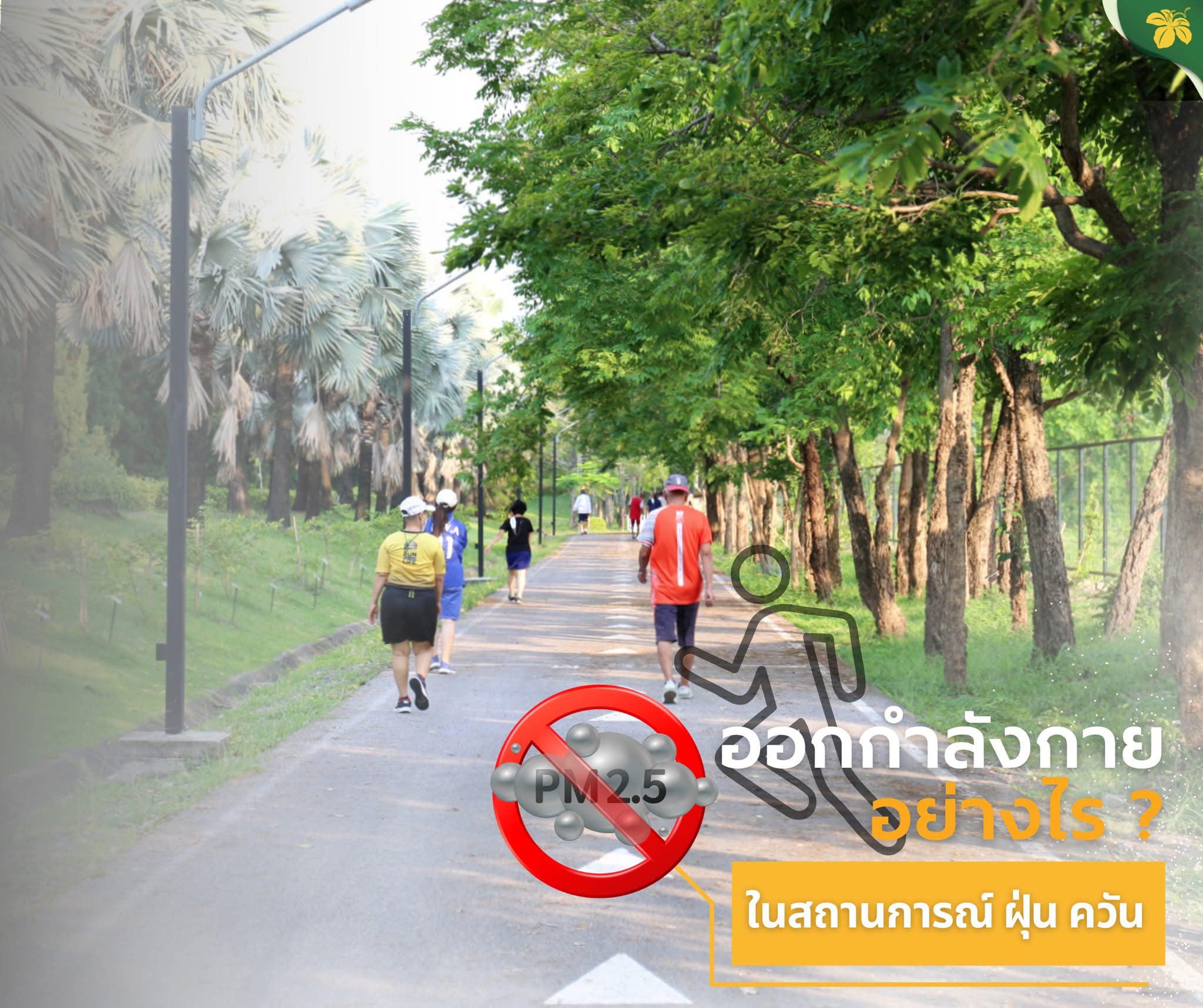 “การออกกำลังกายอย่างไรให้ปลอดภัยในสถานการณ์PM2.5"