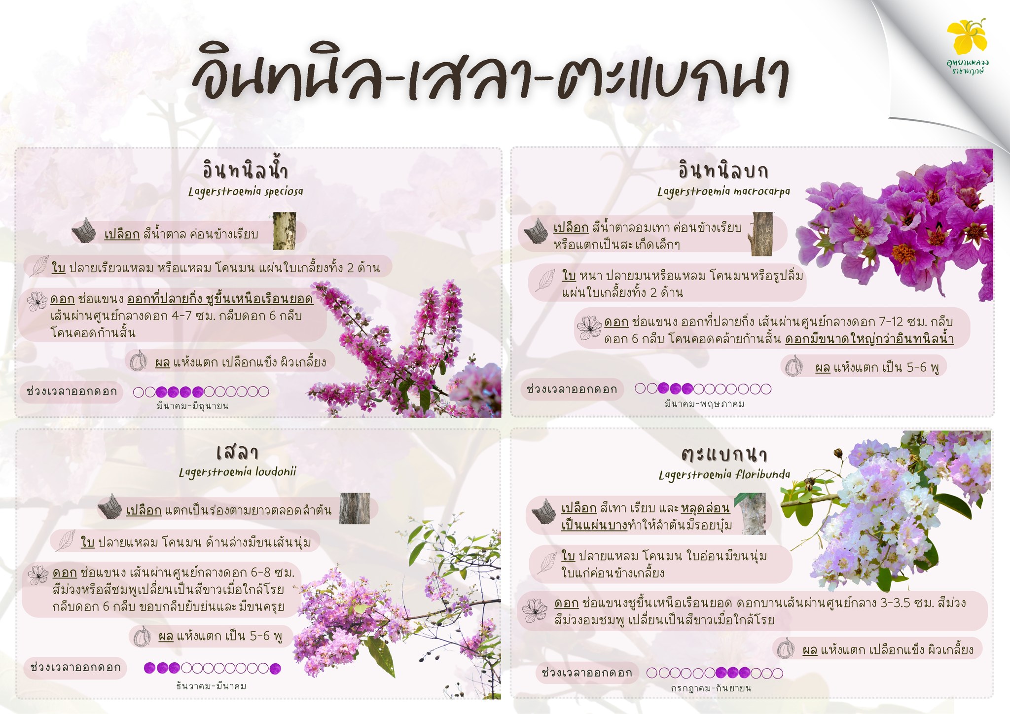 651217658_1516383060496283_5137283353122593113_n