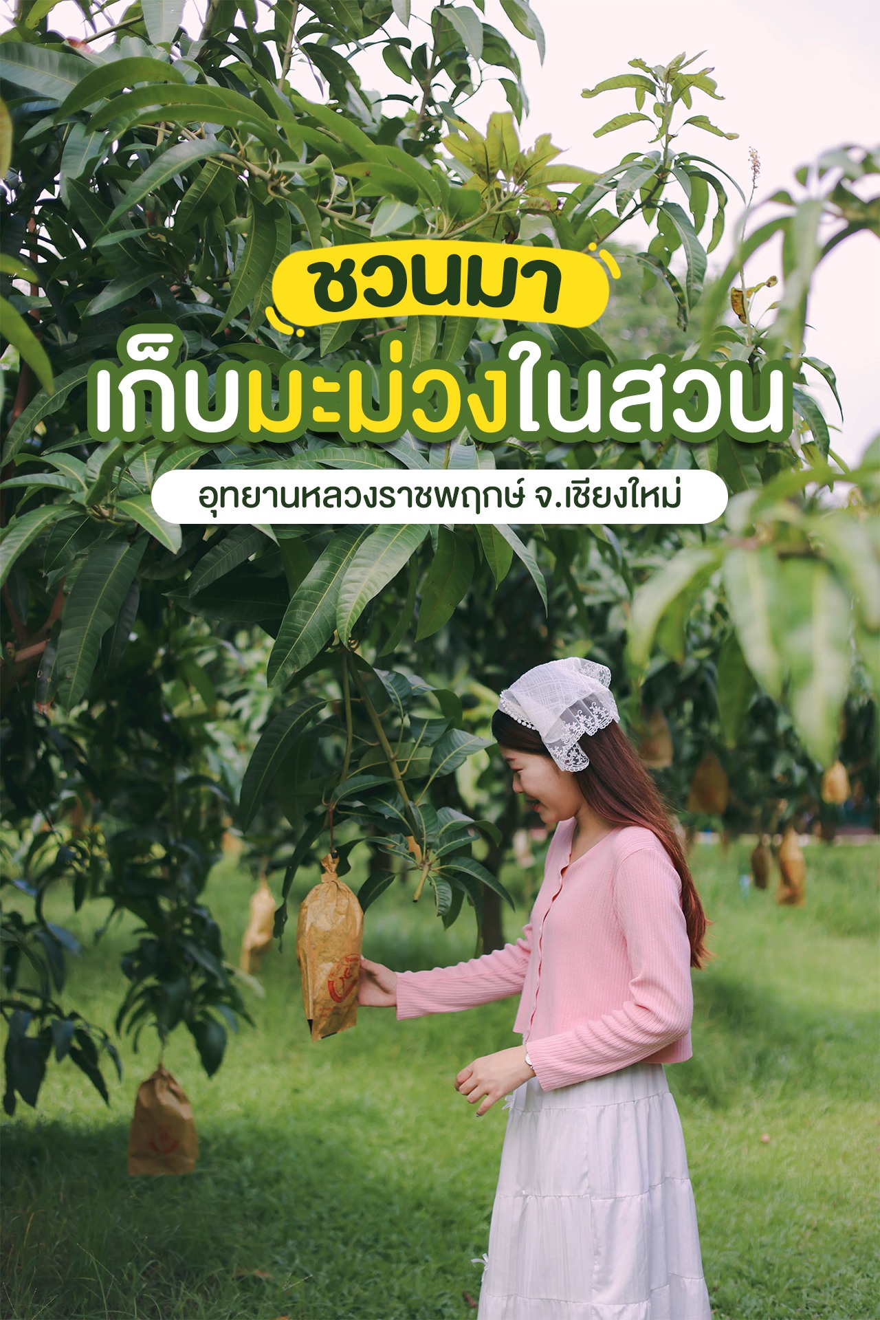 กลับมาแล้ว!กิจกรรมสุดพิเศษกลางสวน